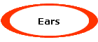 Ears