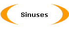 Sinuses